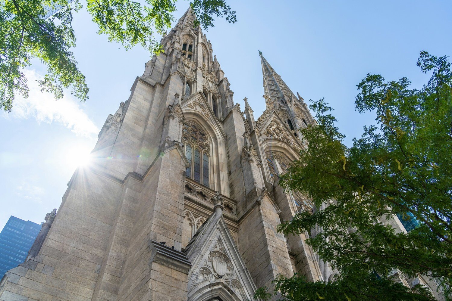 St Patrick's Cathedral | Photo by Winston Chen on Unsplash